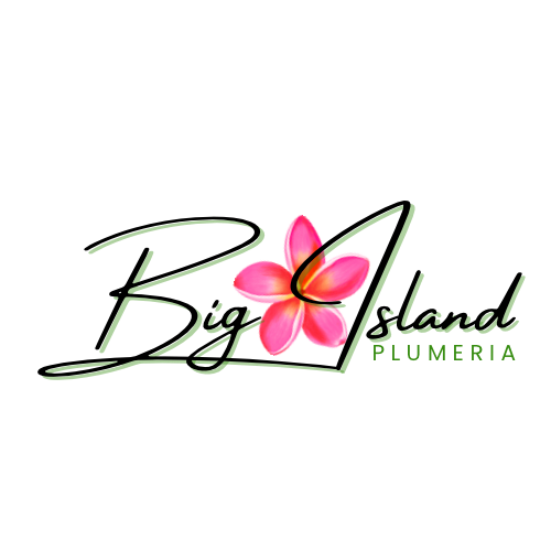 Big Island Plumeria